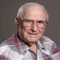 Berl B. Babiak Obituary