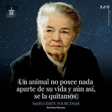 Somos unos miserables Pero podemos cambiar, nunca es tarde para darle valor  a un ser vivo que no tiene nada ni a nadie Buenas noches