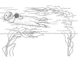 Otters are the most adorable animals and pretty smart too. O Is For Otter Coloring Page Coloring Home