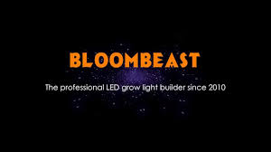 The lights did not produce much heat at all. Bloombeast Posts Facebook