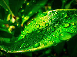 We did not find results for: Macro Phone Indonesia Home Facebook