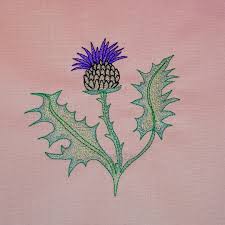 The pieces pictured here are thought to have been parts of a court gown. Thistle Head Flower Embroidery Design 3 Sizes Designs22u