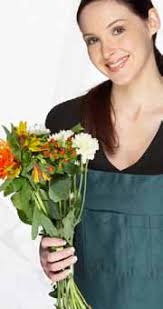 ignore the weather, it's baseball season orange, Chatham score high marks  in health Library issue sparks debate at council ret