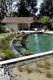 Diy By Swimming Pond With A Natural Self Cleaning Process Natural Swimming Pools Natural Swimming Ponds Small Pool Design