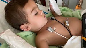 Fundraiser for Alexandria Sleeman by Hali Cunningham : Medical Expenses for  Eastons Brain Injury