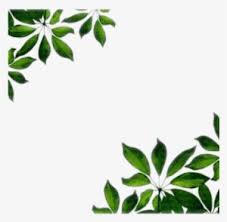 Under setting on the left, choose the border style you want. Leaf Border Png Transparent Leaf Border Png Image Free Download Pngkey
