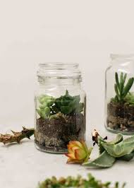 Terrarium Coffee Jar Crafts Glass Jars Moccona