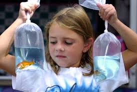 Favorite memories of Fish Camp Jam?