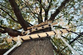 Here comes 16 long shooting rail with sturdy construction from the big dog hunting. How To Rope And Wood Tree Ladder Make