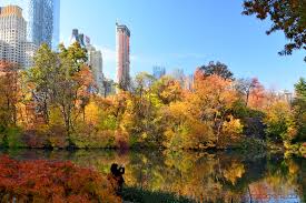 Check spelling or type a new query. Explosion De Colores Otonales En El Central Park De Nueva York
