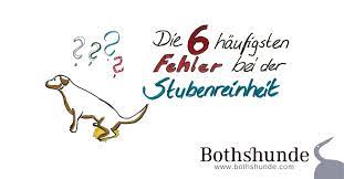 #dogstv #stubenreinheit #welpentraining dein hund hat mal wieder in die wohnung gemacht, trotz ausgiebiger gassirunde? Die 6 Haufigsten Fehler Bei Der Stubenreinheit Bothshunde