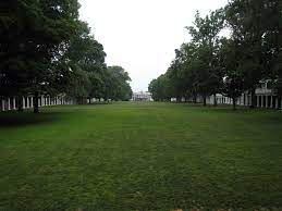 We have had many recommendations through word of mouth. Lawn Wikipedia