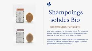 Cosmetiques Vegetaux Beurres De Mangue Karite Cacao Murumuru Vierge 100 Bruts