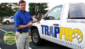Your insurance company may have other requirements for determining the health of tree prior to its removal. Trappro Prince Georges County Maryland Wildlife Removal Houses Attics Sheds Homes Humane Animal Trapping Prince Georges County Md Animal Control