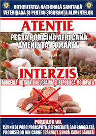 Ancheta epidemiologică este în desfășurare și se realizează de. Ansvsa Atentie Pesta Porcina Africana Ameninta Romania Ro Aliment
