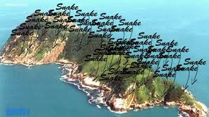 Snake island travelers' reviews, business hours, introduction, open hours. An Island Full Of Venomous Snakes Video Dailymotion