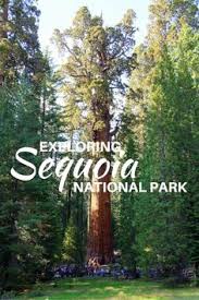 Process reservations and incoming calls. 16 Travel R Ranch In The Sequoias Ideas National Monuments Sequoia Monument