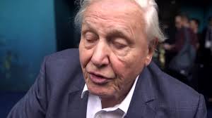 70 Will Attenborough Stock Videos, Footage, & 4K Video Clips