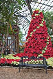 Pin On Botanischer Garten