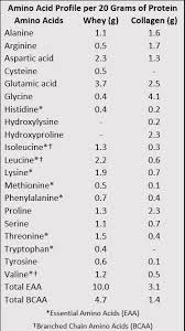 Collagen Protein Vs Whey Protein What You Need To Know