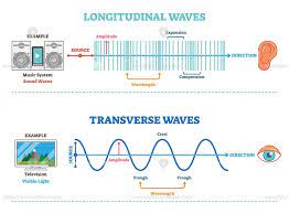Longitudinal And Transverse Wave Type Vector Illustration Scientific Diagram Longitudinal Wave Waves Physics And Mathematics