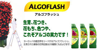 ジャックと豆の木カンパニー アルゴフラッシュ 液肥 活力剤 除草剤等の園芸用品を格安にてご提供