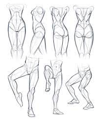 Anatomy also studies the animal body and the structure of plants. Some Quick Torso Leg Study Warm Up Sketches For Today Warmupsketches Legs Torso Draw Drawing Ske Human Anatomy Art Human Figure Drawing Art Reference