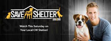 Pet Rescue Solutions Has A Secret Shhhh We Are So Excited That Save Our Shelter Tv Show Is Coming Tomorrow To Ch Pet Adoption Event Animal Tv Animal Rescue