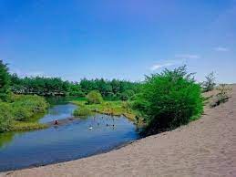 We did not find results for: Dua Pelajar Hilang Terseret Ombak Pantai Laguna Kebumen