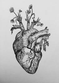 A heart tattoo can be in memory of a loved one, a broken heart, showing love for a partner, a mended heart, love … Loookingformehuh Tattoos Anatomical Heart Tattoo Heart Drawing