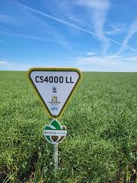 Bryan Briggs (@skagrobryan)