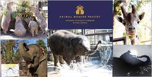 See more of 市原ぞうの国 on facebook. ã‚¿ã‚¤ã®é­…åŠ›ãŒå'³ã‚ãˆã‚‹å‹•ç‰©åœ' Animal Wonder Rezourt ãŒã‚ªãƒ¼ãƒ—ãƒ³ ã‚¿ã‚¤ãƒ©ãƒ³ãƒ‰ãƒã‚¤ãƒ'ãƒ¼ãƒªãƒ³ã‚¯ã‚¹ Thai Hyper