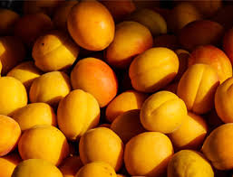 Maybe you would like to learn more about one of these? Come Si Fa L Acquavite Di Albicocca E La Grappa Di Albicocche