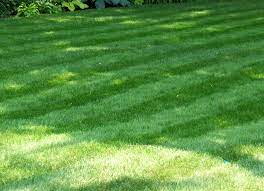 Maybe you would like to learn more about one of these? Lawn Care Horizon Lawn Care Landscaping Youngstown Ohio