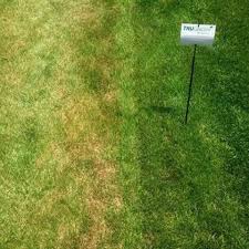 It is not difficult work, but it is time consuming if your yards aren't measured correctly. Trugreen Office Photos Glassdoor