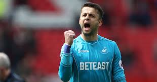 View stats of west ham united goalkeeper lukasz fabianski, including goals scored, assists and appearances, on the official website of the premier league. Why Swansea City S Lukasz Fabianski Is Arguably The Best Goalkeeper In The Premier League Right Now Wales Online
