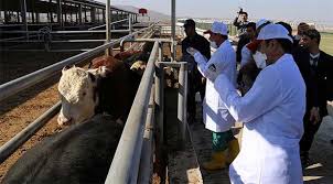 Hazine ve maliye bakanlığı ile tarım ve orman bakanlığı'nın çeşitli birimlerine yapılan atamalara ilişkin kararlar, resmi gazete'de yayımlandı. Tarim Ve Orman Bakanligi Ndan Hayvanciliga Bir Yuk Daha Asilar Artik Parali