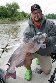 In fact, many private ponds are kept exclusively for these fish. Homegrown Catfish Ponds
