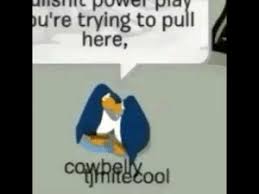 Well hre u hev it folkz, 1 golden hr of the best club penguin 2015 compilation! New Club Penguin Meme Memes Banned Memes Imgur Memes Reddit Memes