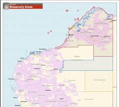 Wa reopens after snap lockdown. Abc Perth Remote Wa Lockdown From 9pm Access To The Facebook
