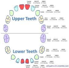 teething troubles healthengine blog