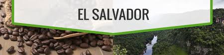 Arabica coffee for growth in the above sea level 800 to 1800 meters, if altitude too you taste acid, too low the bitter. El Salvador Coffee Unroasted Green Beans Bulk Wholesale Coffeesmokin Beans Coffee Co