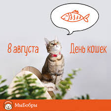 Смотри #мультик котики, вперед!, новые серии 2020 на нашем канале: Vsemirnyj Den Koshek Koshachij Prazdnik