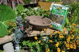 Take this is great, because you can plan out exactly how many cacti to place so the final one will kill the mob. Plant Your Own Succulent Container Garden Kellogg Garden Organics