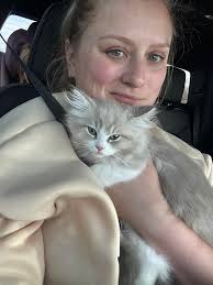 New Ragdoll Cat Addition