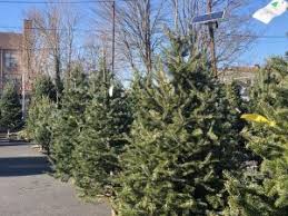 1st & newark streets featuring: Buy Christmas Trees Wreaths Jersey City Jcfamilies