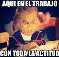 Araceli Castillo Aracastillo014 Perfil Pinterest