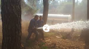 Προγνώσεις καιρού για όλη την ελλάδα. Fwtia Sth Stamata Epiase Th Manika Sth Maxh Me Tis Floges Kai O Antiperifereiarxhs Attikhs Fwtografies Znews