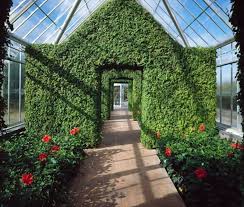 Pin On Gardens