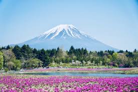 Climb Mt Fuji Take Japan S No 1 Challenge Guidable